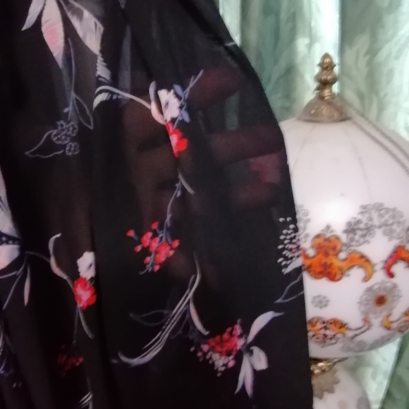 Vintage 1970s sheer dress - Picture 3 of 4